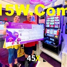 Experiência VIP 45X